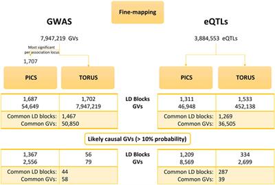 Benchmarking post-GWAS analysis tools in major depression: Challenges and implications